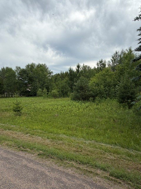 Picture 20