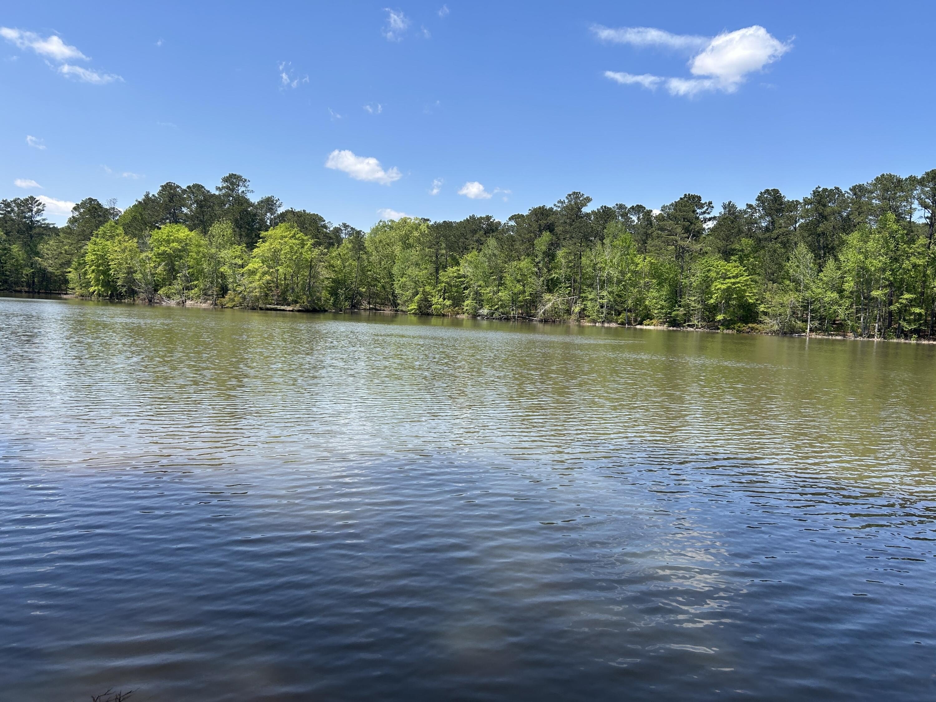 Waterfront Land on Clarks Hill