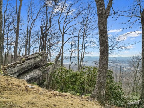 LAND - Fletcher, NC