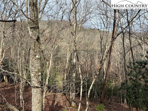 Land in Laurel Springs, NC