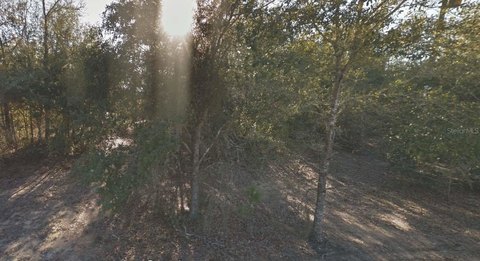 Corner Lot in Interlachen, FL