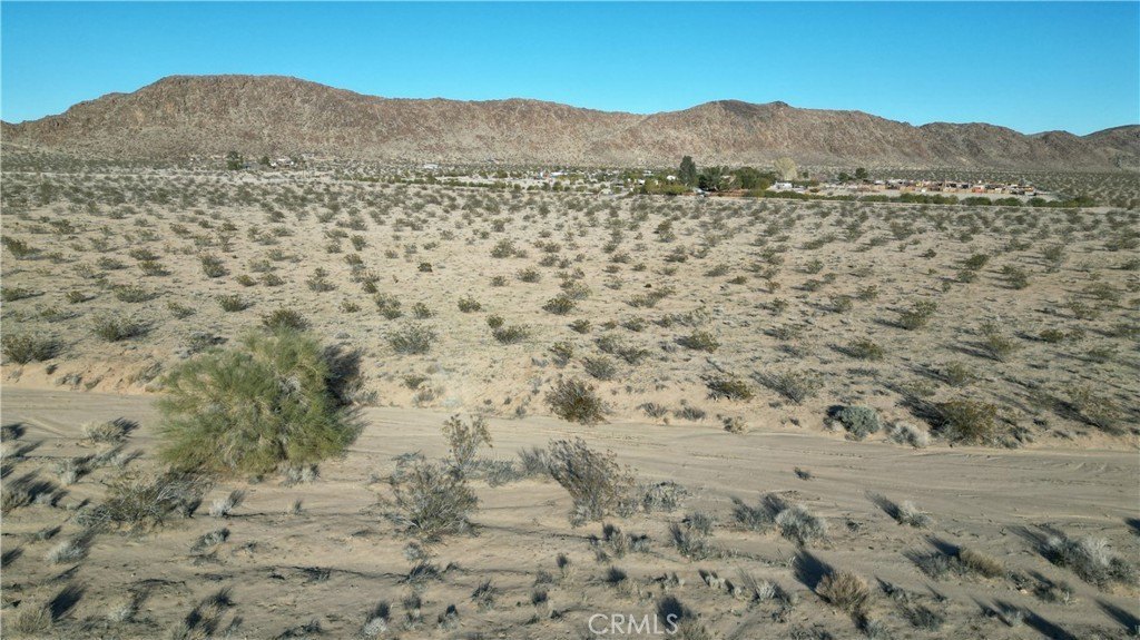 Picture 10