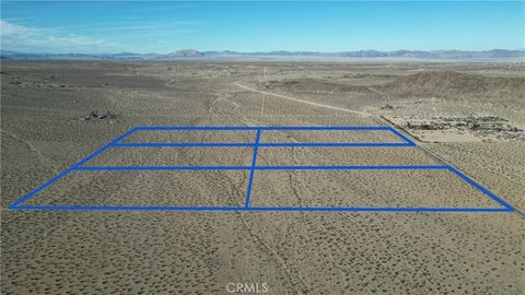 Joshua Tree Land Opportunity