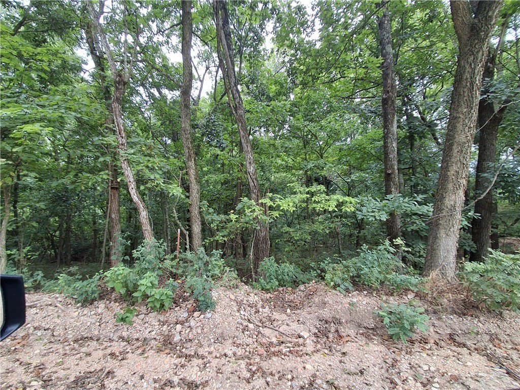 Picture 3