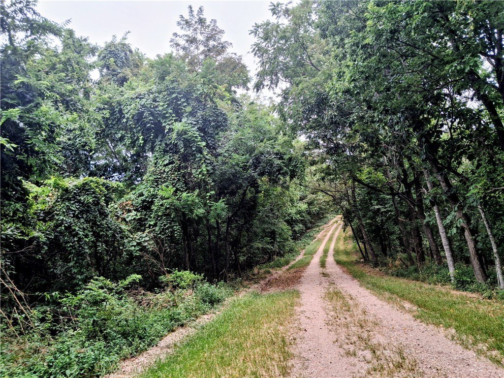 Picture 8