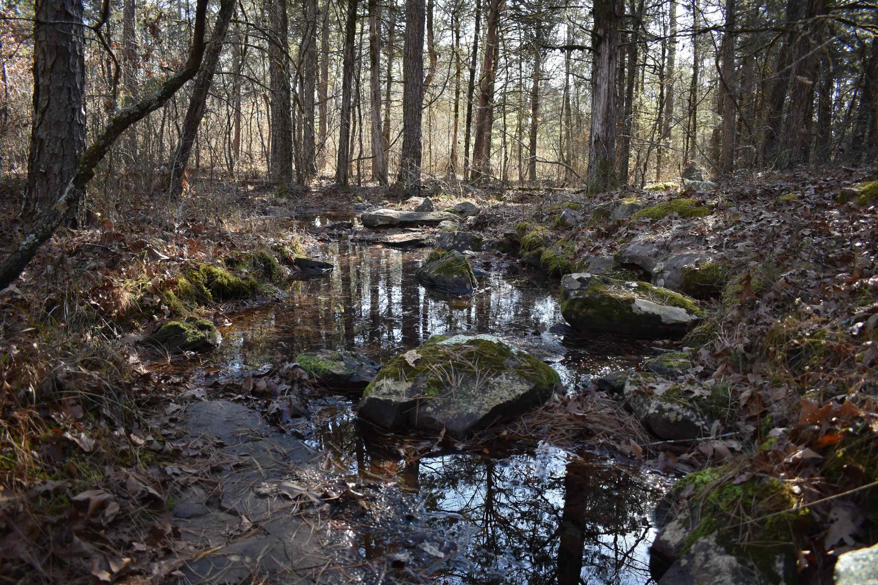 Secluded Timber Tract in Delaware