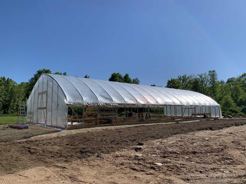 80 Acres with Greenhouse and Creek