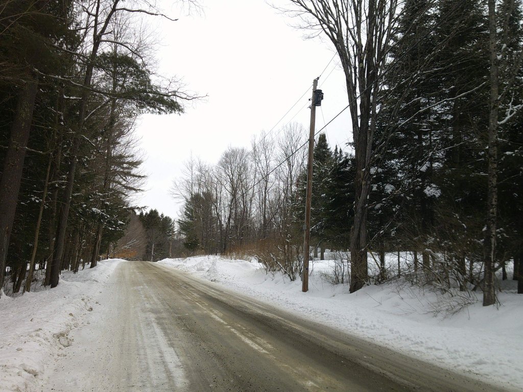 Picture 7