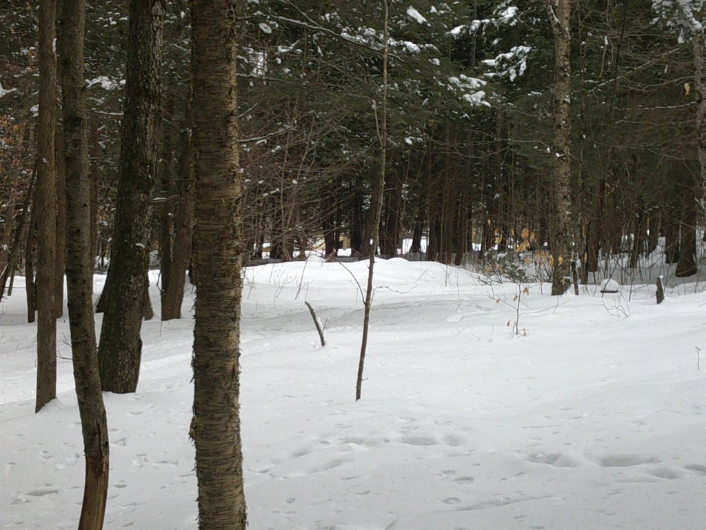 Picture 12