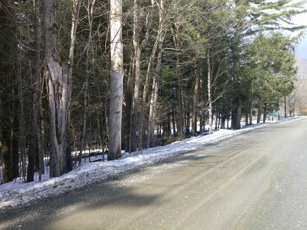 Picture 3