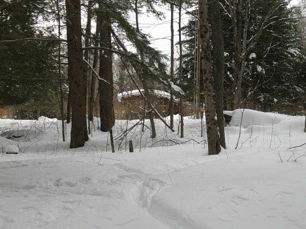 Picture 14