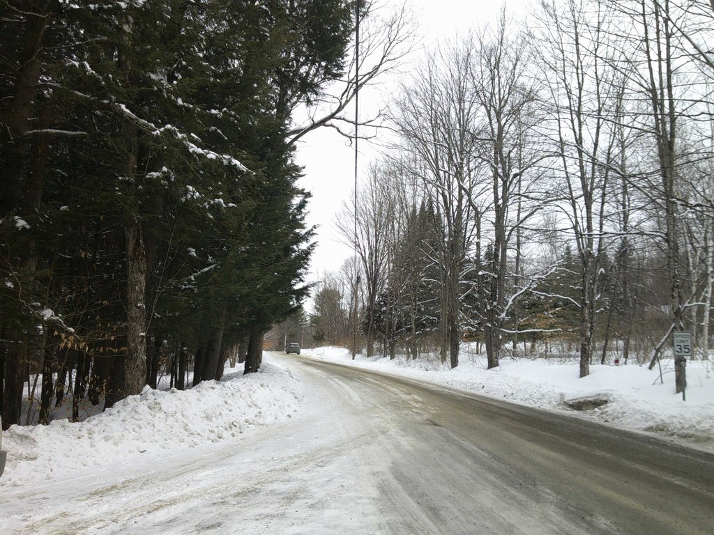 Picture 9