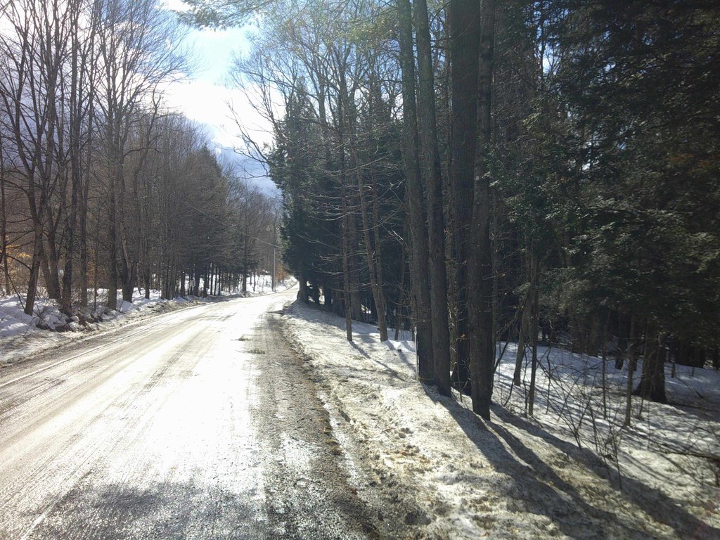 Picture 28
