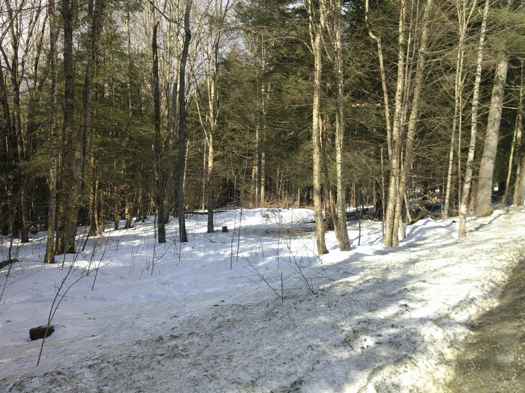 Picture 27