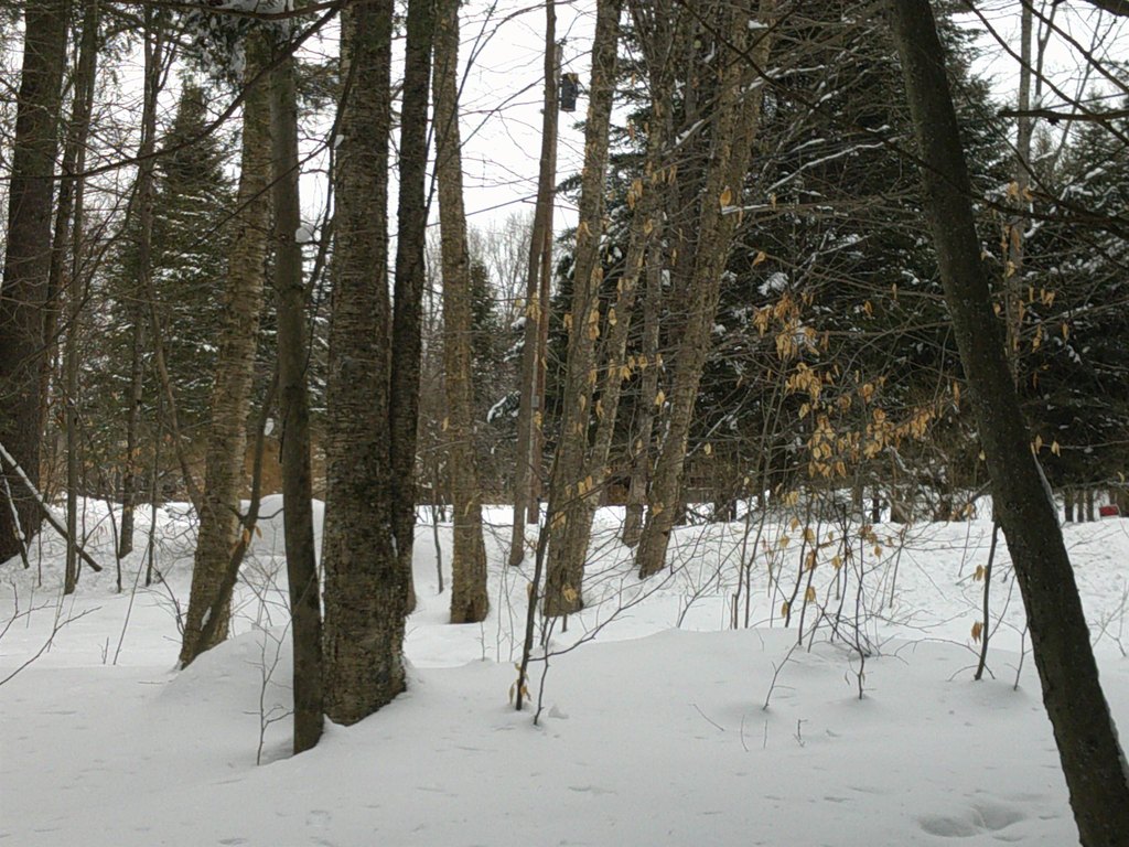 Picture 13