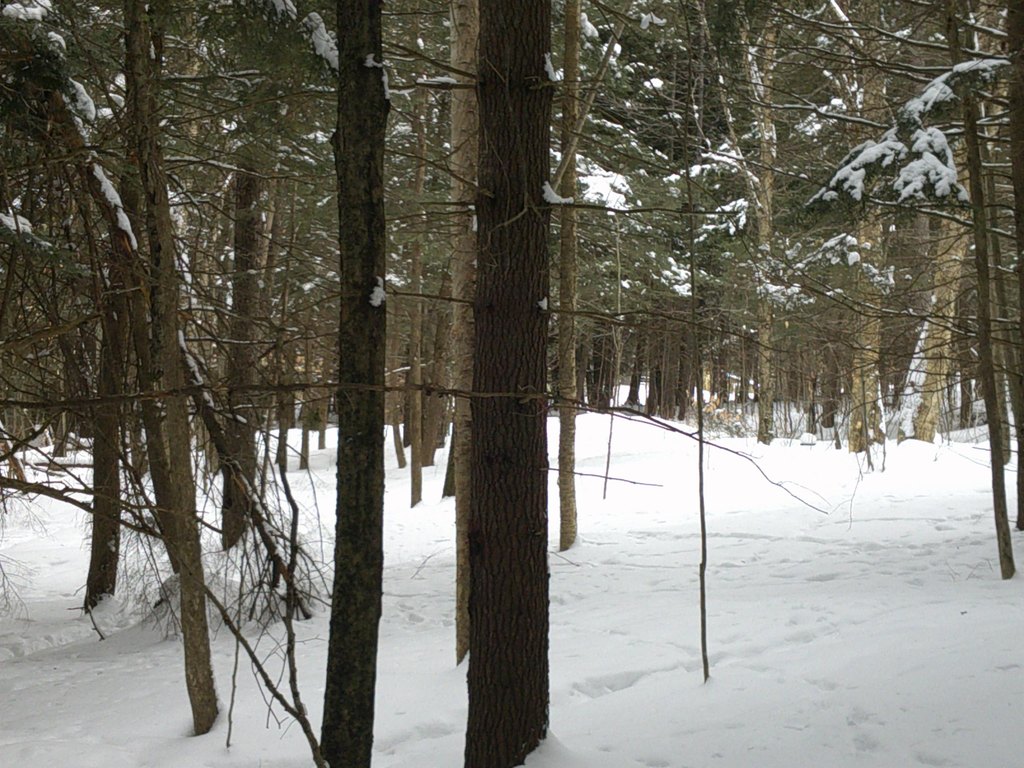 Picture 11