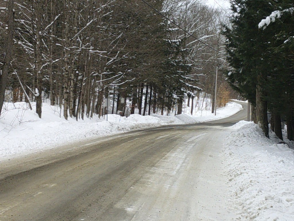 Picture 23