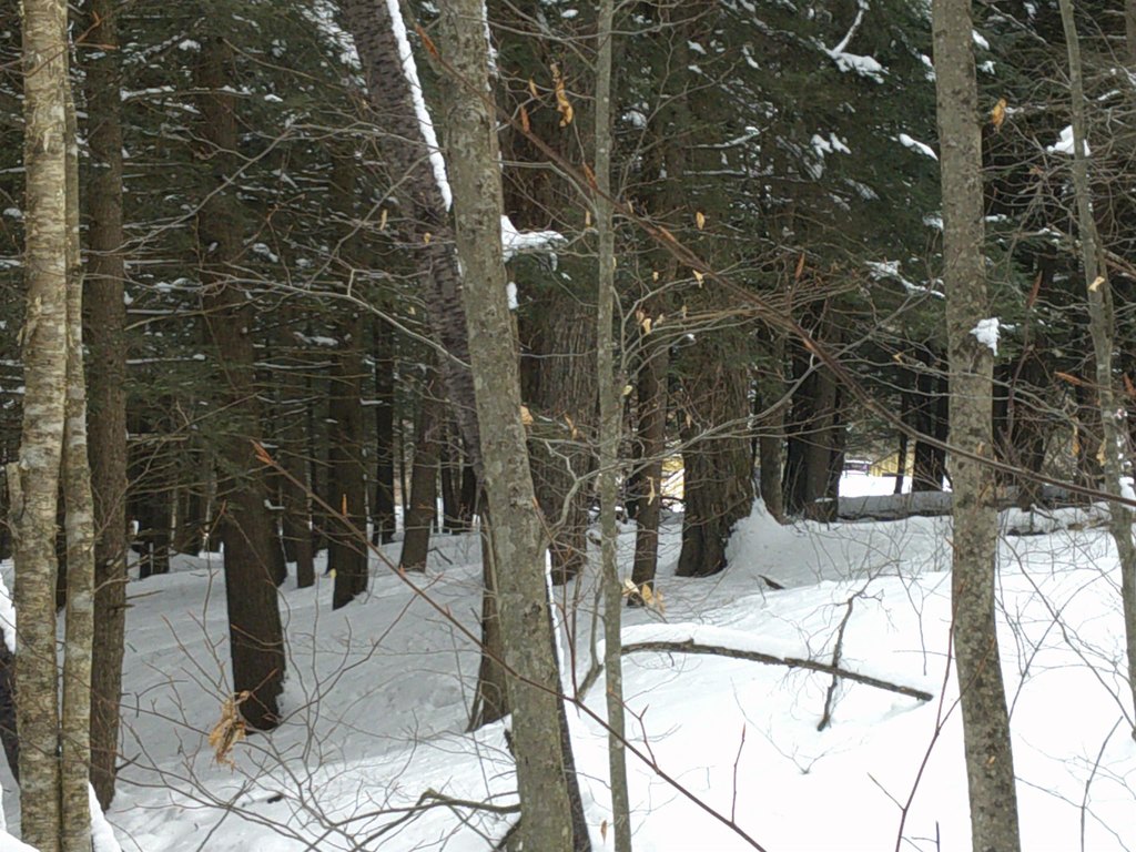 Picture 20