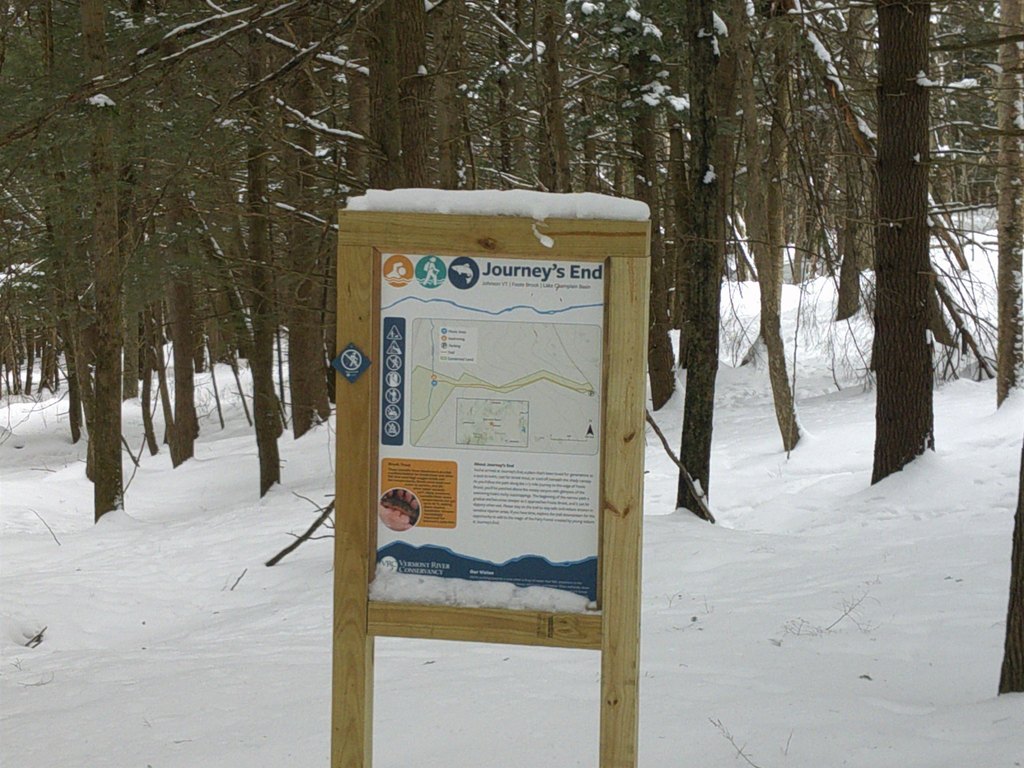 Picture 24