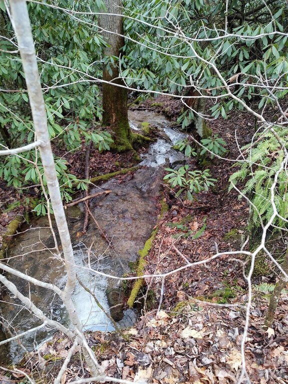 Picture 13