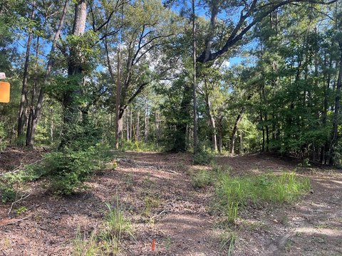 LAND - Brookeland, TX