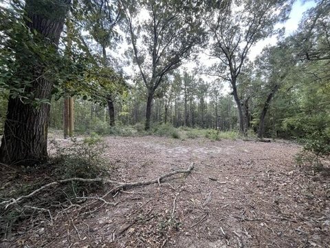 Land, Brookeland, TX