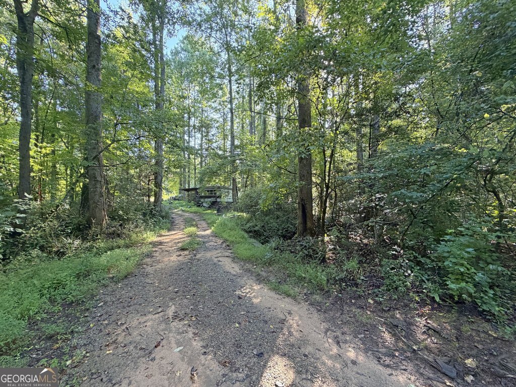 Picture 7