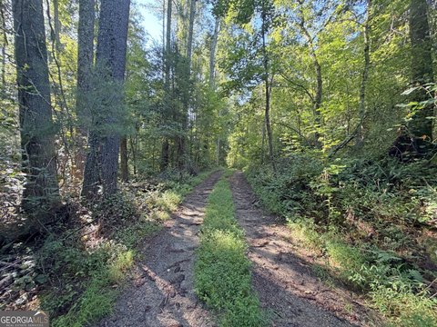 Land, Clarkesville, GA