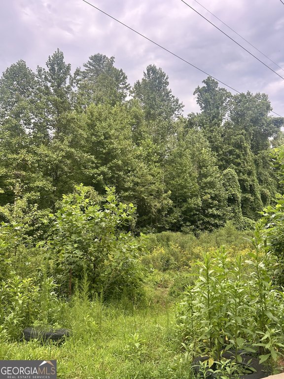 Picture 13