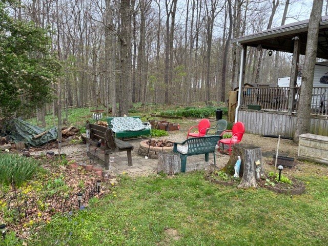 Picture 4