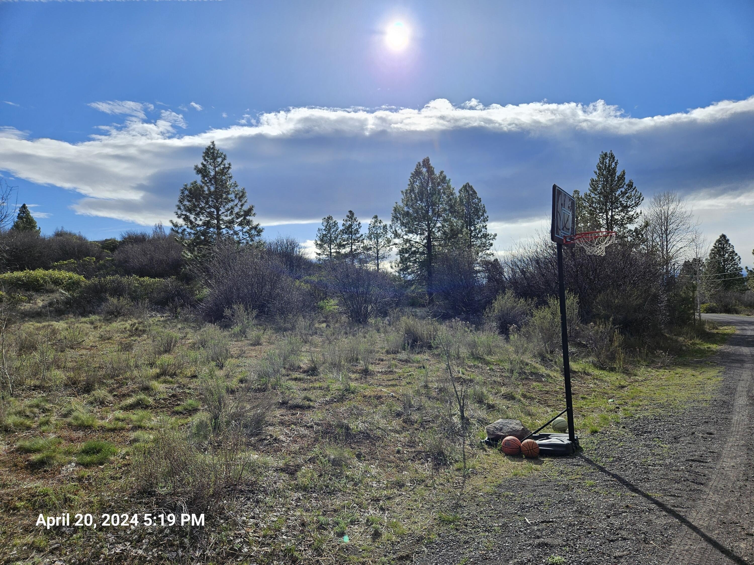 Land in Oregon Shores