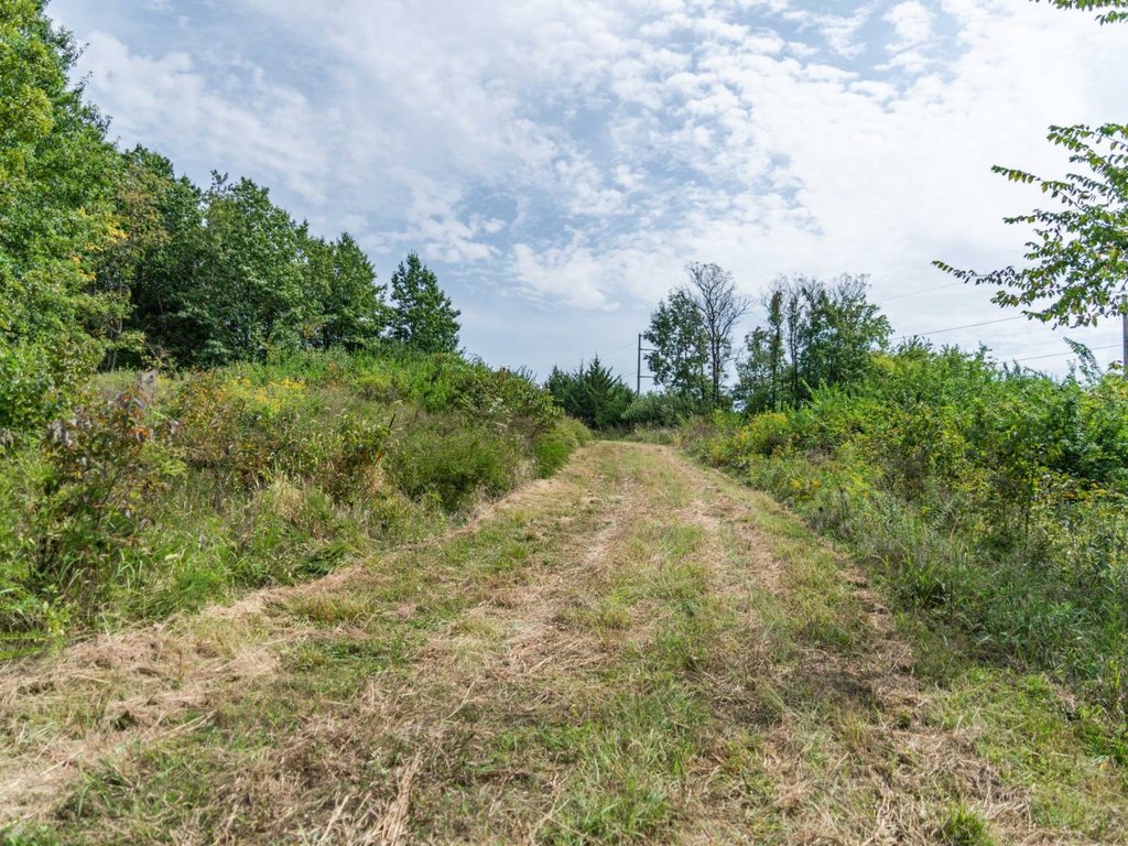 Picture 25