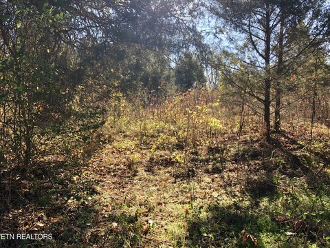Pristine East Tennessee Land Parcel