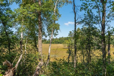Wooded Lots Near Baxter City