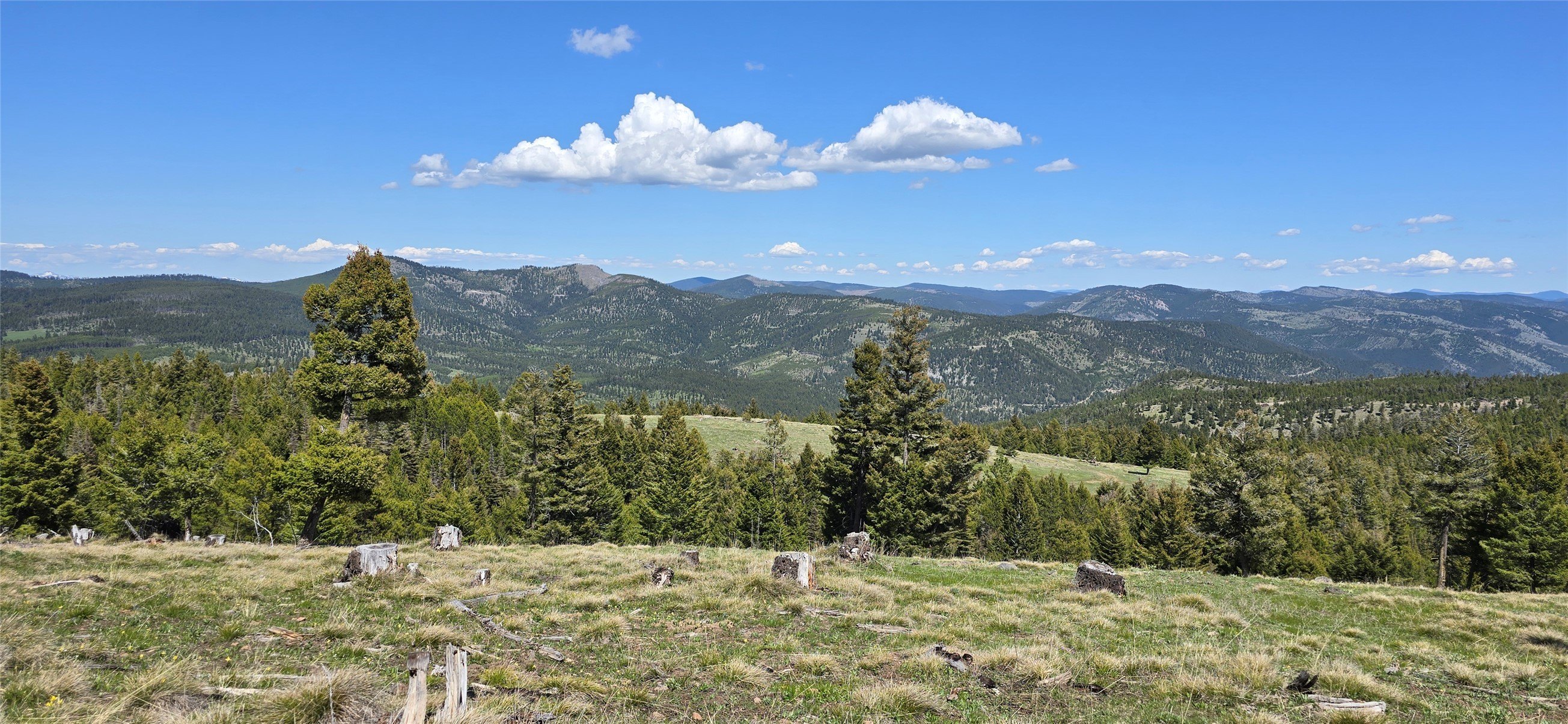 Montana Land Bordering State Land