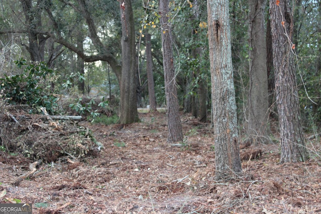 Picture 4