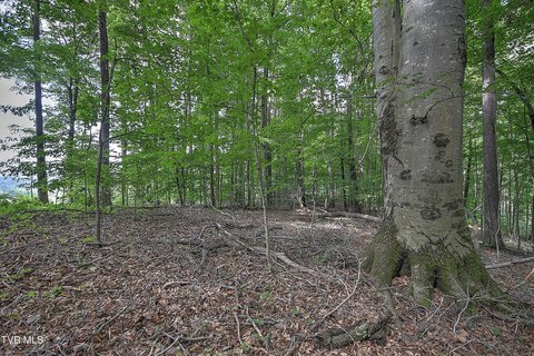 Residential Land in Church Hill