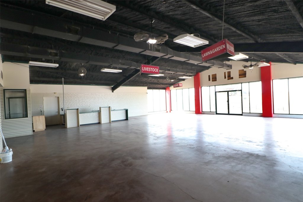 Picture 6