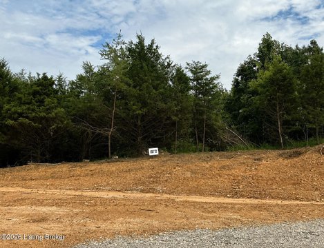Land, Clarkson, KY
