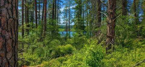 Waterfront Recreation Land