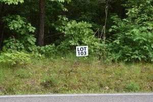 Land For Sale, Ten Mile