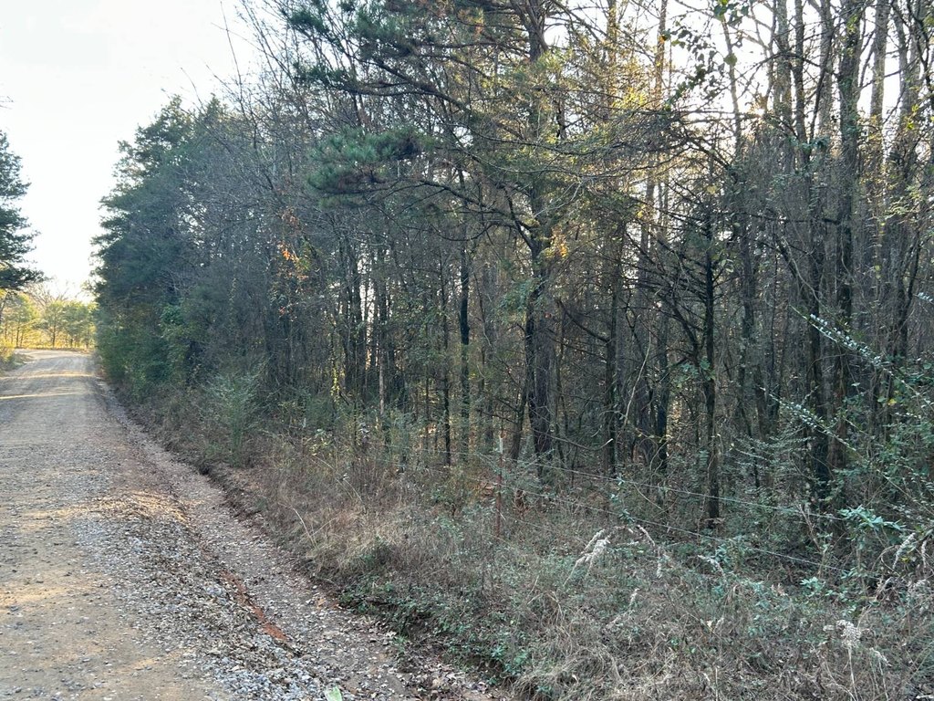 Picture 3