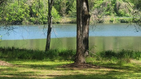 LAND, Inman, SC