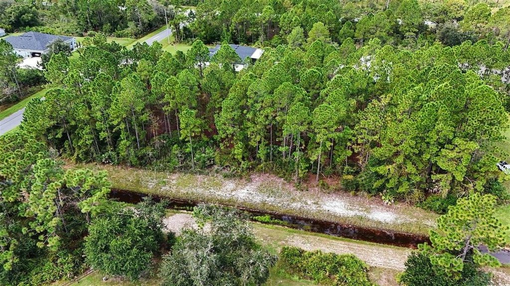 Picture 10
