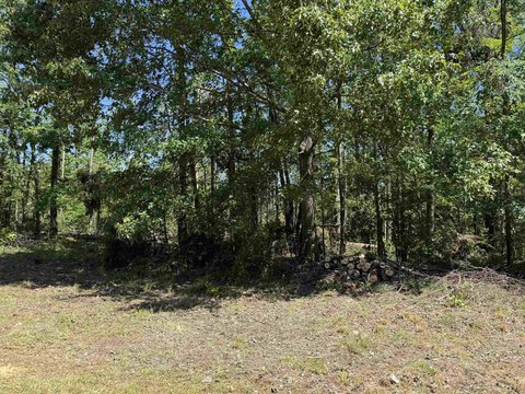 LAND - Savannah, TN