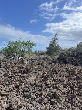 Ocean View 3-Acre Lot