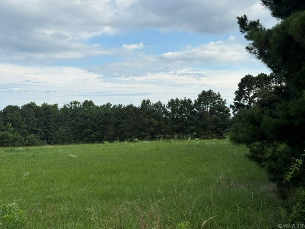Picture 3