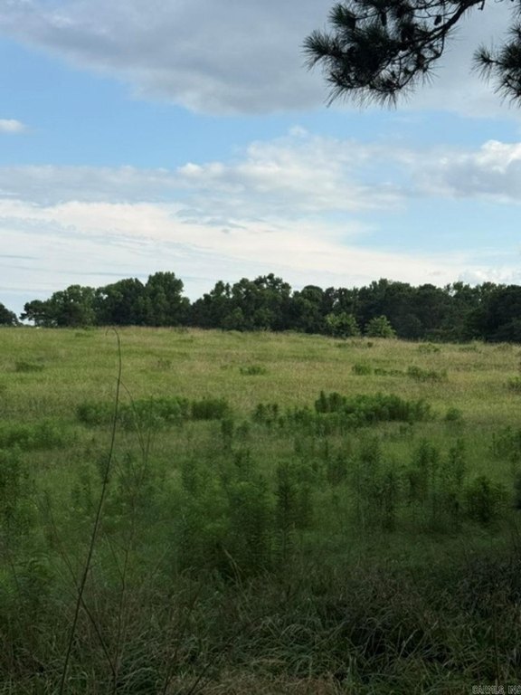 Picture 7