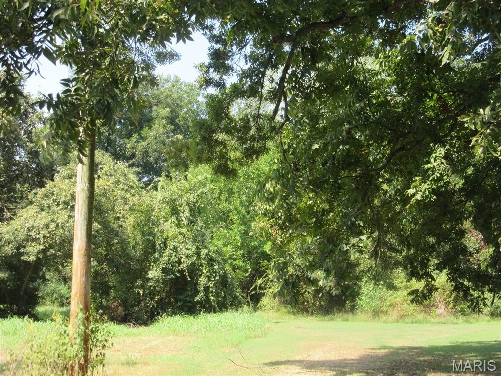 Picture 5