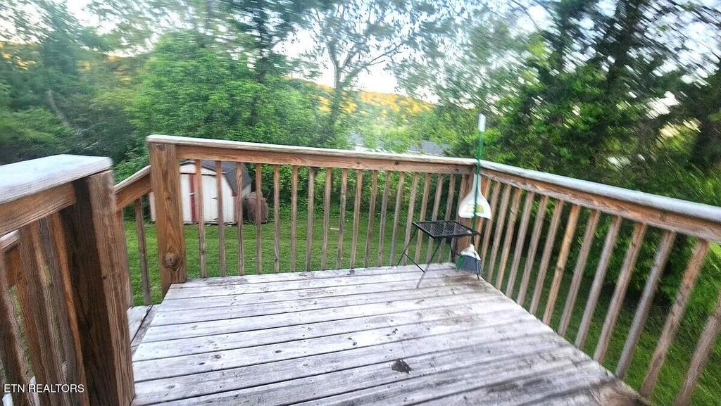 Picture 17